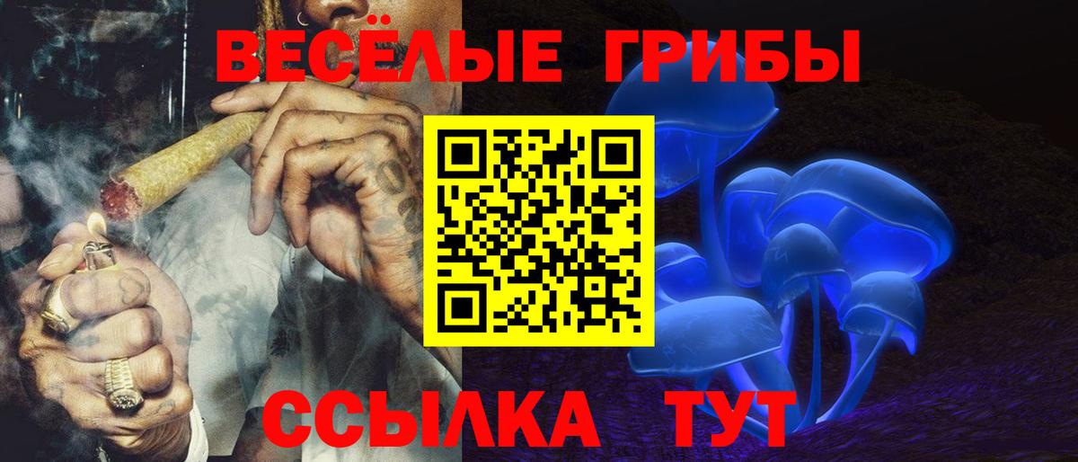 Псилоцибиновые грибы ЛСД Благовещенск