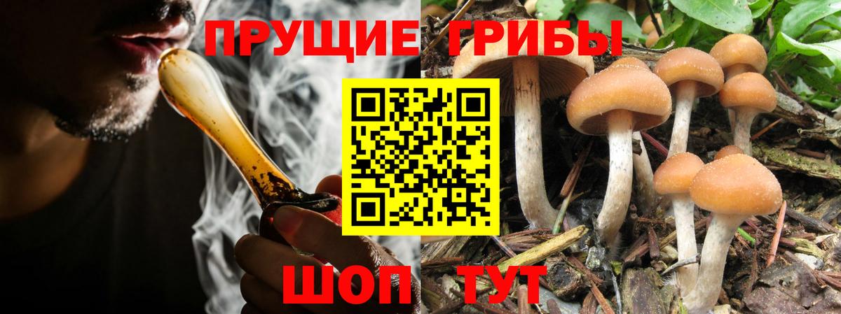 Благовещенск  Псилоцибиновые грибы ЛСД  Вход с VPN 